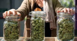 Things You Need To Know About online weed store Canada